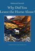 Why Did You Leave the Horse Alone? (English Edition)