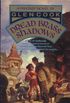 Dread Brass Shadows: A Garrett, P.I. Novel (English Edition)