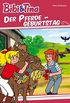 Bibi & Tina - Der Pferdegeburtstag: Roman zum Hrspiel (German Edition)
