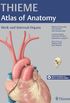 Neck and Internal Organs (THIEME Atlas of Anatomy) (THIEME Atlas of Anatomy Series) (English Edition)