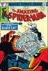 The Amazing Spider-Man #205