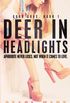 Deer in Headlights