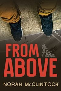 From Above: A Riley Donovan Mystery (English Edition)