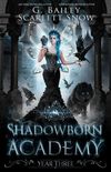 Shadowborn Academy: Year Three