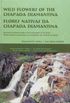 Flores Nativas da Chapada Diamantina - Trilhas Botanicas Ilustradas nas mon