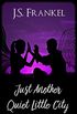Just Another Quiet Little City (Another Quiet Little Place Book 2) (English Edition)
