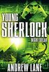 Night Break (Young Sherlock Holmes Book 8) (English Edition)