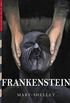 Frankenstein (Illustrated) (Top Five Classics Book 23) (English Edition)