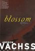 Blossom (Burke Series Book 5) (English Edition)