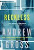 Reckless: A Novel (Ty Hauck Book 3) (English Edition)