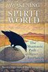 Awakening to the Spirit World: The Shamanic Path of Direct Revelation [With CDROM]