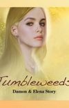 Damon & Elena: Tumbleweeds