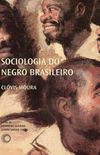 Sociologia do negro brasileiro