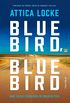 Bluebird, Bluebird: Amor, justia e tenso racial no corao do Texas