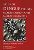Atlas of dengue viruses morphology and morphogenesis
