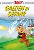 Asterix 33: Gallien in Gefahr