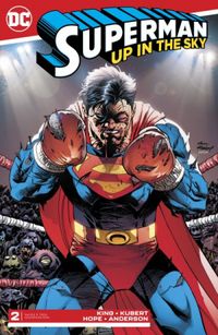Superman - Up In The Sky #2