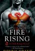 Fire Rising: A Dark Kings Novel (English Edition)