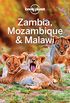 Lonely Planet Zambia, Mozambique & Malawi (Travel Guide) (English Edition)