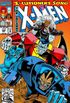 Os Fabulosos X-Men #295 (1992)