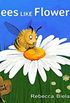 Bees Like Flowers: a childrens book
