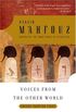 Voices from the Other World: Ancient Egyptian Tales (English Edition)