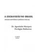 A escravido no Brasil: ensaio histrico-jurdico-social - Vol. 2