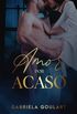 Amor Por Acaso: um romance de contrato