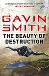 The Beauty of Destruction (Veteran 3) (English Edition)