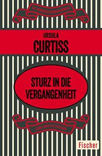 Sturz in die Vergangenheit (German Edition)