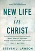 New Life in Christ: What Really Happens When You