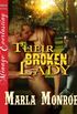 Their Broken Lady (Siren Publishing Menage Everlasting) (English Edition)