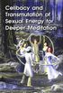 Celibacy and Transmutation of Sexual Energy for Deeper Meditation