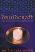 Druidcraft: The Magic of Wicca and Druidry (English Edition)