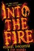 Into the Fire (English Edition)