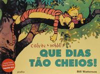 Calvin que Dias To Cheios - Coleo Calvin & Hobbes