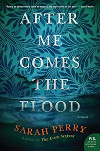 After Me Comes the Flood: A Novel (English Edition)