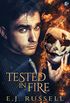 Tested in Fire (Art Medium Book 2) (English Edition)