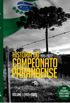 HISTRIA DO CAMPEONATO PARANAENSE