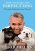 How to Raise the Perfect Dog: Through Puppyhood and Beyond (English Edition)