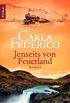 Jenseits von Feuerland: Roman (Die Chile-Trilogie 2) (German Edition)