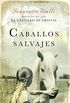 Caballos salvajes (Spanish Edition)