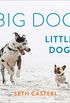 Big Dog, Little Dog (English Edition)