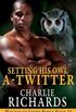  Setting His Owl A-Twitter 