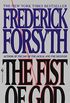 The Fist of God: A Novel (English Edition)