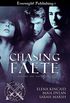 Chasing Faete (Beyond the Veil Book 1) (English Edition)