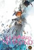 the promised neverland vol 18