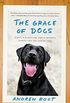 The Grace of Dogs: A Boy, a Black Lab, and a Father