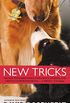 New Tricks (The Andy Carpenter Series Book 7) (English Edition)