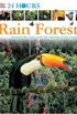24 Hours Rainforest